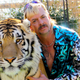 Image for article titled Here are all the questions we still have about Tiger King, Joe Exotic, and big-cat people
